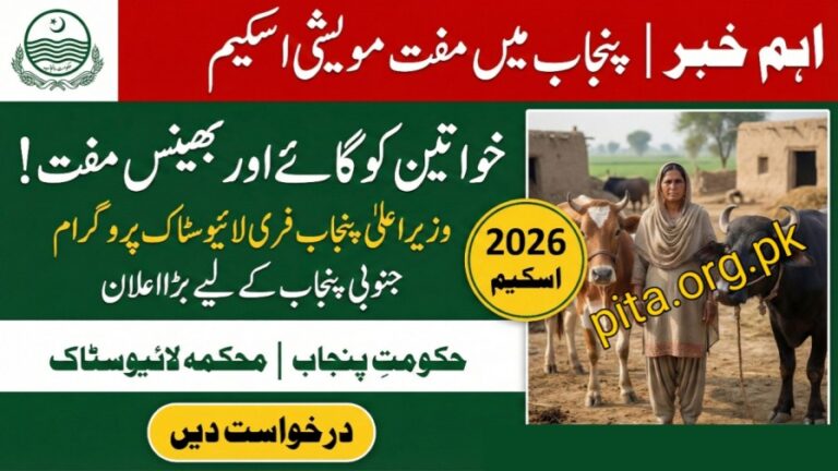 How To Apply For CM Punjab Free Livestock Program 2026