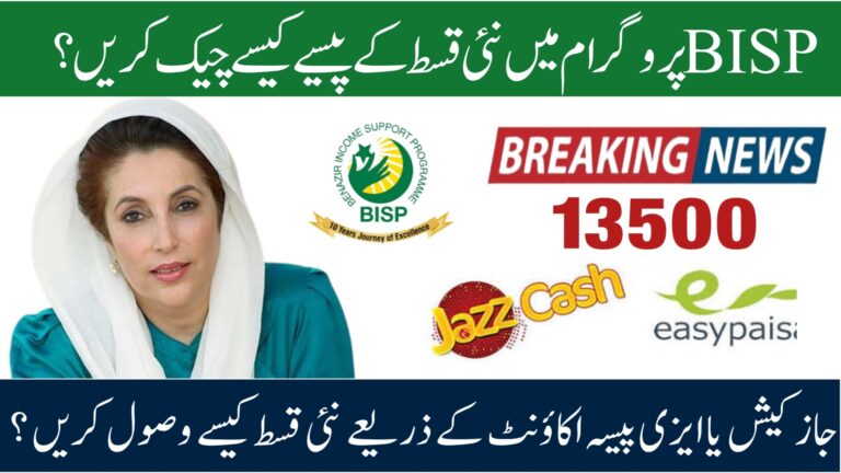 How To Check BISP 8171 Payment Status Online