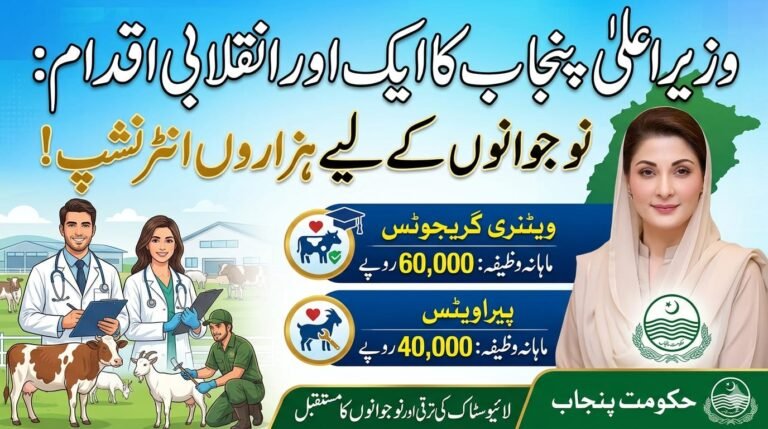 CM Punjab Launches Revolutionary Internship