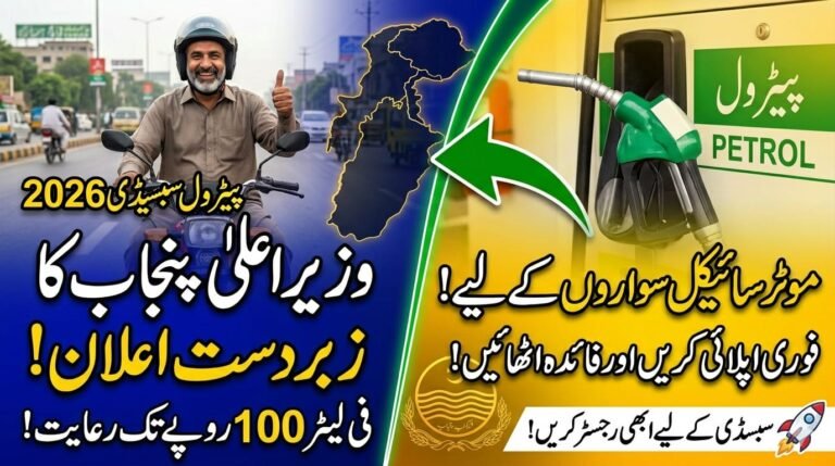 Punjab Petrol Subsidy 2026.pita.org.pk