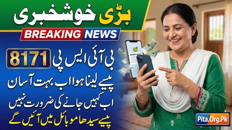 BISP 8171 Mobile Payment System