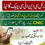 BISP 8171 Portal Guide: How to Check Your Payment Status by CNIC New Method